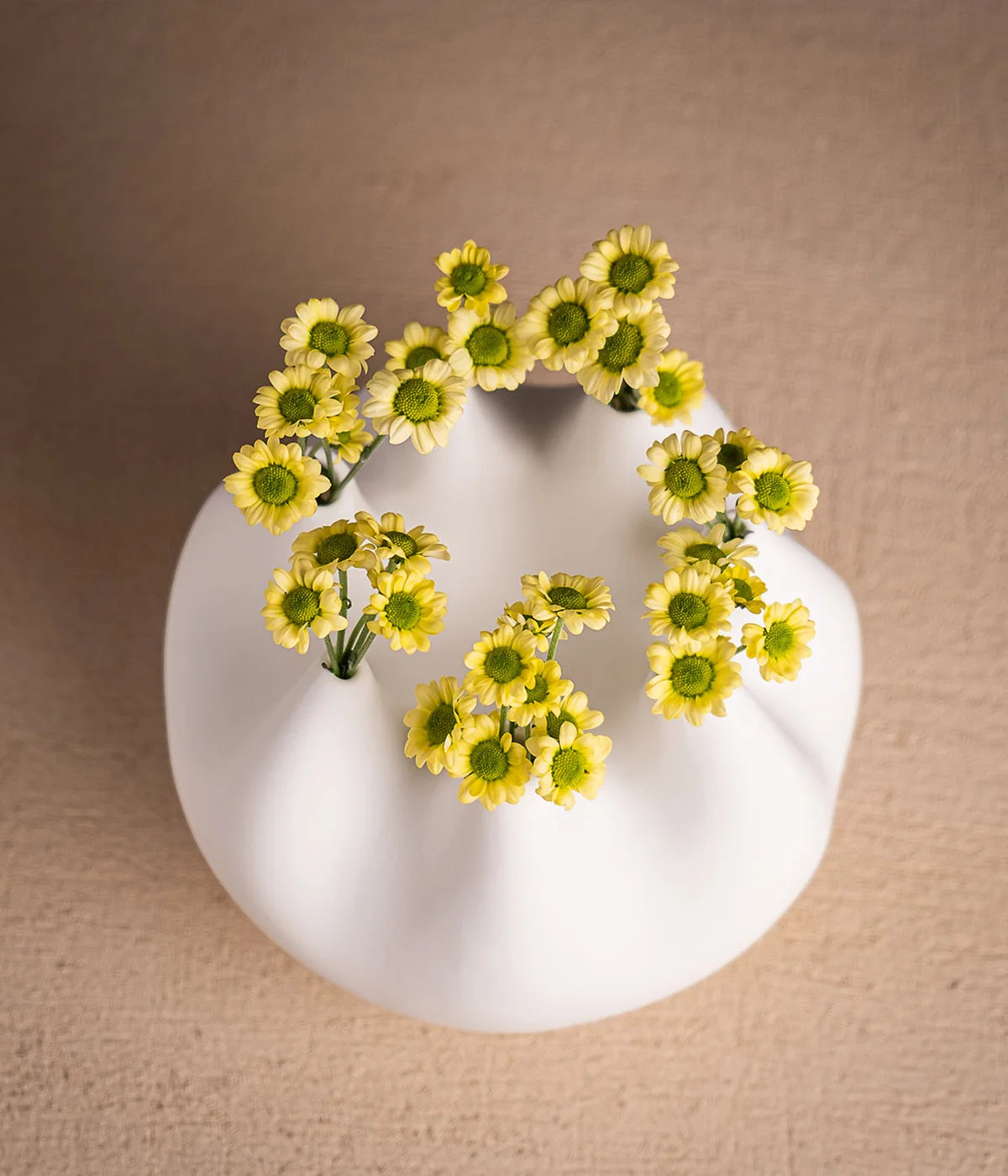 Vase Rhizom Piccolo von Klatt Objects